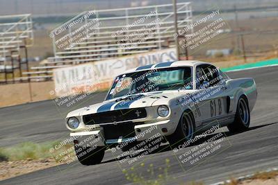 media/May-07-2022-Cobra Owners Club of America (Sat) [[e681d2ddb7]]/Red/Session 1 (Turn 4)/